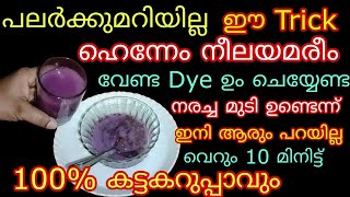 നരച്ച മുടിയോർത്ത് ഇനി ആർക്കും ടെൻഷൻ വേണ്ട 100 കറുപ്പിക്കാം 10 മിനിട്ട് തലയിൽതേക്കൂ Natural HairDye [upl. by Henley]