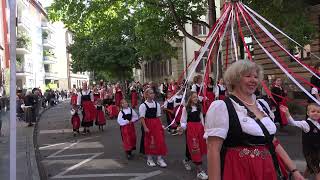 Cannstatter Volksfestumzug 2023 in 4K  in voller Länge mit allen 93 geplant 100 Gruppen [upl. by Bobbette]