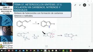 TEMA 37 HETEROCICLOS  SÍNTESIS  375 CICLACIÓN VÍA CARBENOS NITRENOS Y RADICALES [upl. by Davine832]