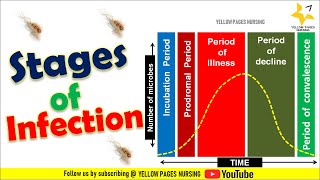 Stages of infection Incubation Period  Prodromal Period  illness  Decline amp Convalescence [upl. by Enyt]