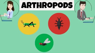 Characteristics of Arthropods [upl. by Lari]