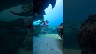 🩷🖤🩷🖤🩷 underwater freediver freediving [upl. by Alessandro]