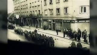 History DeutschHRT1Massaker von Bleiburg 1945 USTASA Treffen👉Terror der roten Partisanen [upl. by Refynnej428]