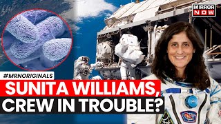 Sunita Williams News  Spacebug Detected At International Space Station  Health Concerns Arise [upl. by Ennahs]