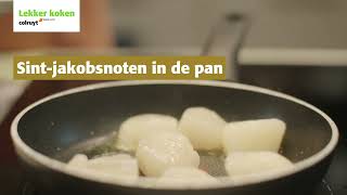 Recept – Sintjakobsnoten met aardpeerpuree en pastinaakchips  Colruyt [upl. by Oniuqa]