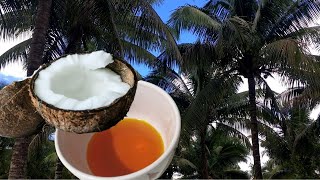 How to make COCONUT OIL Infused with ANNATTO Coconut oil BENEFITS ANNATTO Benefits [upl. by Nareik382]