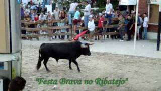 Alcochete Festas do Barrete Verde e das Salinas 2010 Largada de Toiros no dia 11 Agosto [upl. by Noll189]