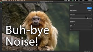 Removing NOISE in Photoshop with NoNoise AI [upl. by Berriman]