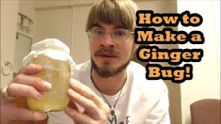 How to Make a Ginger Bug for Naturally Fizzy Probiotic Sodas [upl. by Cardinal38]