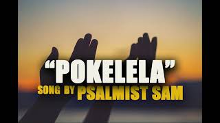 pokelela Amalumbo by psalmist sam [upl. by Ilene899]