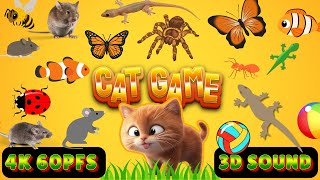 CAT GAMES TV  Ultimate Cat TV Compilation 2  1 HOURS  NO ADS 🐝🐞🦋🦎🦜🐜🐭🧵 [upl. by Fulvia]