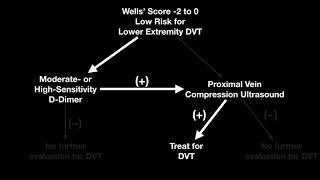 POCUS Lower Extremity  DVT Evaluation  Algorithm for the lowrisk patient [upl. by Pammy]