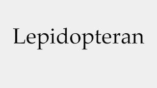 How to Pronounce Lepidopteran [upl. by Schug]