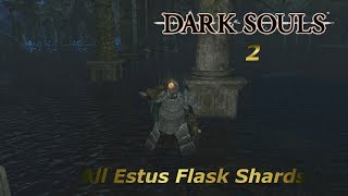 Dark Souls 2All Estus Flask ShardsAlle Estus Flakon Scherben [upl. by Auqinot144]