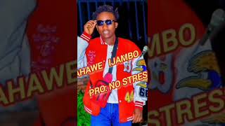 Dorcas amp Vestine NAHAWE IJAMBO 🎶Covered by No Stressofficial audio 🎶 [upl. by Amsirahc]