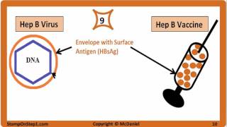 Viral Hepatitis Hepatitis A Hepatitis B Hepatitis C HBsAg HBeAg Vaccine HCV HBV HBsAb [upl. by Lihp70]