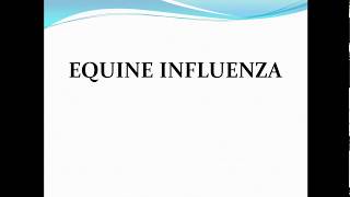 Equine influenza ppt [upl. by Yeliw]