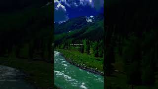 Tu Aake Dekh Le  Aesthetic lyrics Status Slowed And Reverb Song shorts status lyrics viral [upl. by Aleehs186]