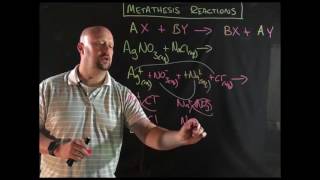 Metathesis Reactions [upl. by Carlye203]