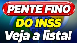 LISTA de BENEFÍCIOS que NÃO VÃO ser CORTADOS pelo GOVERNO em 2024 PENTE FINO do INSS [upl. by Irep946]