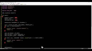 Network Winsock Network Programming using CC  UDP echo server [upl. by Notgnilra]