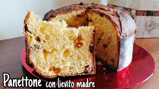 Panettone con lievito madre semplificato con impasto unico [upl. by Sseb822]