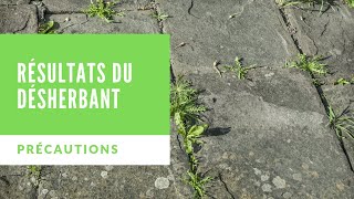 Résultats du désherbant à base de vinaigre  précautions [upl. by Arbmahs]