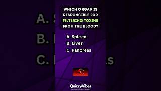 🧠 Quickfire Body Quiz How Well Do You Know Your Organs humanbody anatomy quiztime [upl. by Acquah]