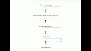 Concussion Rehab  Why Not Start With Vision Therapy [upl. by Feetal]