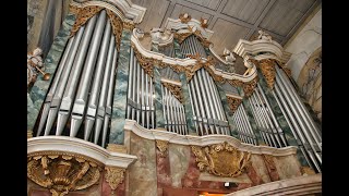 Im Herzen der Orgel  Einblick in die großen HildebrandtOrgel in der Sangerhäuser Jacobikirche [upl. by Dill]