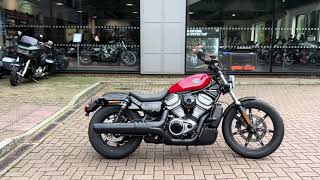 Brand new Nightster 975 at Guildford HarleyDavidson [upl. by Alik687]