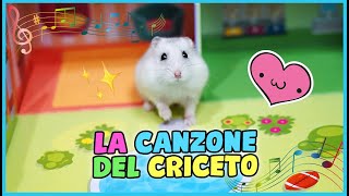 🐹 LA CANZONE DEL CRICETO 🐹 Dipper Song [upl. by Assiluj]