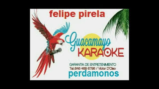 felipe pirela perdamonos karaoke exclusivo [upl. by Tilagram]