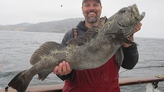 How To Catch Lingcod amp Rockfish Episode 9 [upl. by Reichel]