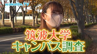 あらゆる面で開かれた大学！筑波大キャンパス調査！！【wakatteTV】455 [upl. by Matthaeus]