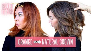 THIS is how I fix orange on brown hair😱 haircolorcorrection orangetobrownhair [upl. by Novick198]