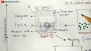 Cryopreservation technique with notes  Diagrammatic procedure  Applications  Bio science [upl. by Stafford]