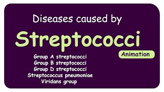 streptococcal infections Microbiology  group A streptococcal GAS infections Hindi Urdu [upl. by Othe674]