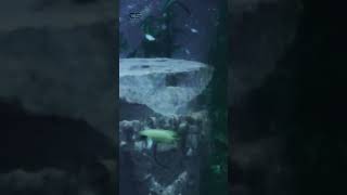 The Lost City of Dwarka Part 2 The Discovery of Submerged Ruins [upl. by Gignac]