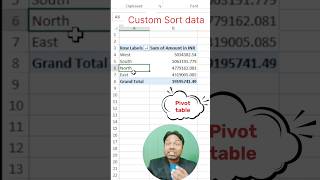 How to Custom Sort Data in Pivot Table  Excel Tutorialexcel [upl. by Alf]