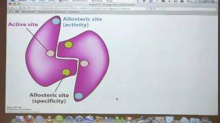 Kevin Aherns BiteSized Biochemistry 40  Nucleotide Metabolism II [upl. by Calondra589]