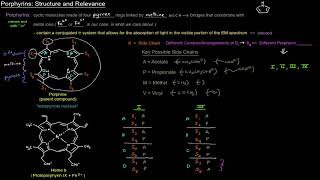 Heme and its Metabolism Porphyrins  Structure and Relevance free sample [upl. by Aisat320]