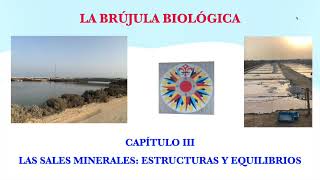 nº 3 Sales minerales estructuras y equilibrios [upl. by Krein]