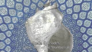 Llibre Vermell Spain 14 th c Stella splendens [upl. by Erina]