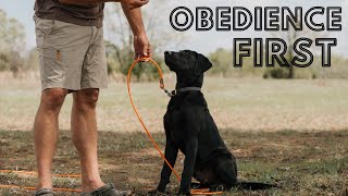 Retriever Training Do THIS FIRST  BASIC Obedience Training Video 2 [upl. by Folsom]