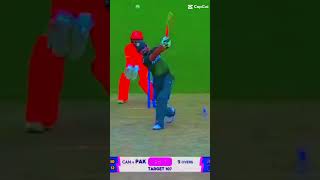 King Bobby hat classic six again Zimbabwe ⭐💫🌟 shortvideo viralshort cricket cricketlover cric [upl. by Tjon]