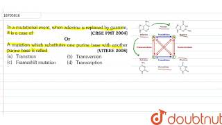 In a mutational event when adenine is replaced by guanine it is a case of [upl. by Towroy]