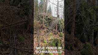 🔥NEUE FUNDE IM SCHWARZWALD 🔥 [upl. by Gussman]