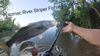 Potomac River Striper Fishing  Jighead amp Fluke For Striped Bass [upl. by Ailedua]