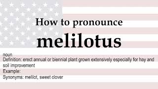 How to pronounce melilotus  meaning [upl. by Vivi]